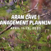 Aran Management Planning